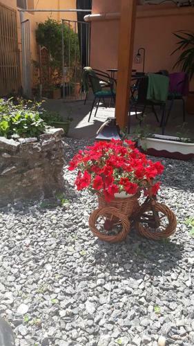 Hostal Pensiunea Kincs
