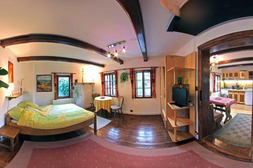 Apartamento Casa Nicu