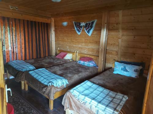Hostal Pensiunea Paulisa