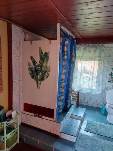 Hostal Pensiunea Paulisa