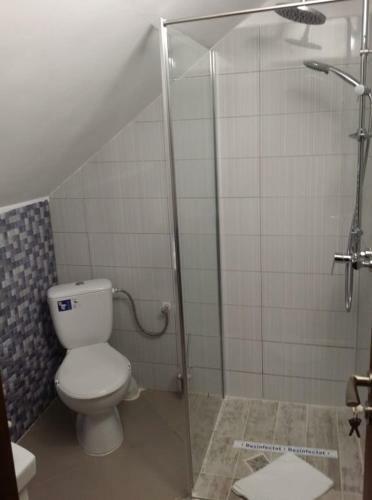 Hostal Pensiunea Brazi