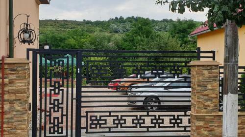 Hostal Pensiunea Brazi