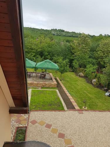 Hostal Pensiunea Brazi