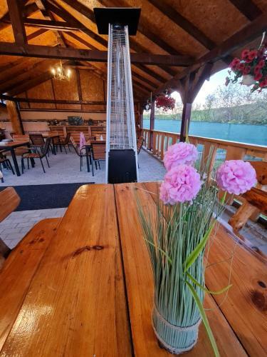 Hostal Pensiunea Brazi