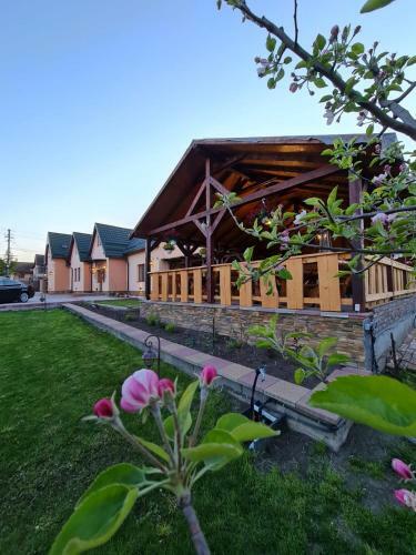 Hostal Pensiunea Brazi