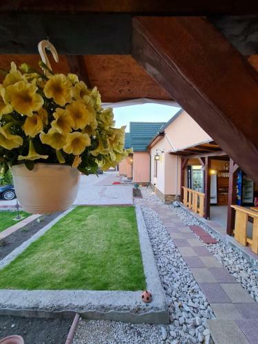 Hostal Pensiunea Brazi