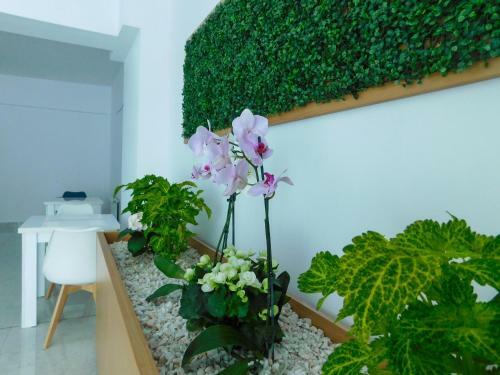 Hotel Vila Blue Salin ****