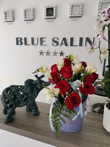 Hotel Vila Blue Salin ****