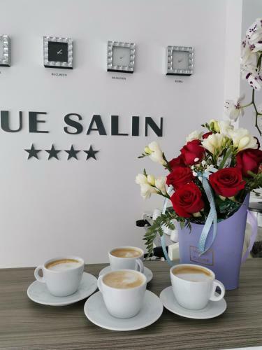 Hotel Vila Blue Salin ****