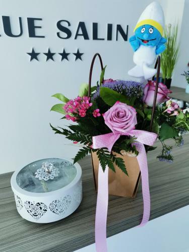 Hotel Vila Blue Salin ****