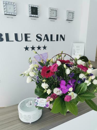 Hotel Vila Blue Salin ****