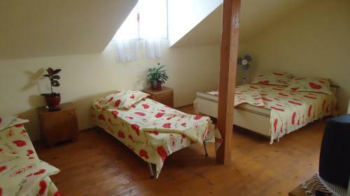 Albergue Helga House
