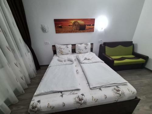 Hostal Pensiunea Bella Vista