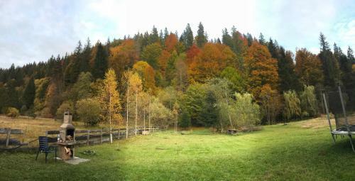 Central Chalet