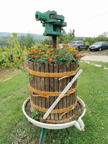 Bed & Breakfast Wineyards Salin
