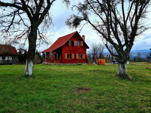 Hostal Sz�kelyvars�gi Fenyves Kuck�