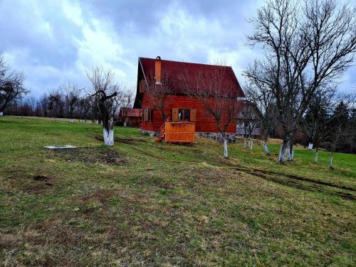 Hostal Sz�kelyvars�gi Fenyves Kuck�