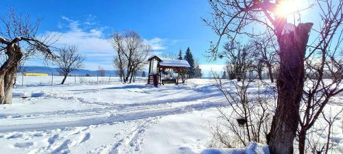 Hostal Sz�kelyvars�gi Fenyves Kuck�