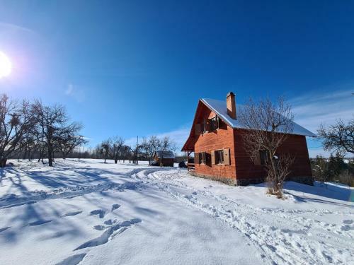 Hostal Sz�kelyvars�gi Fenyves Kuck�