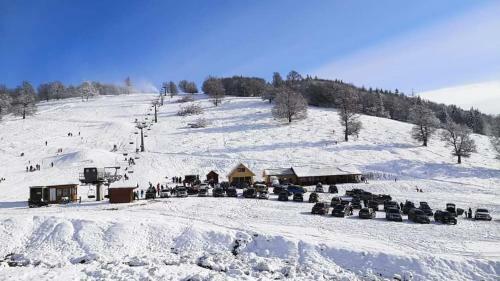 Hostal Sz�kelyvars�gi Fenyves Kuck�
