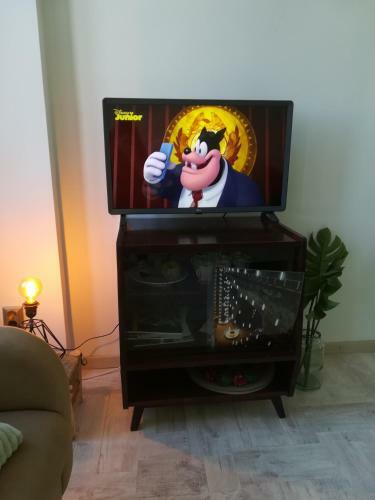 Apartamento Casa Thaja Centru