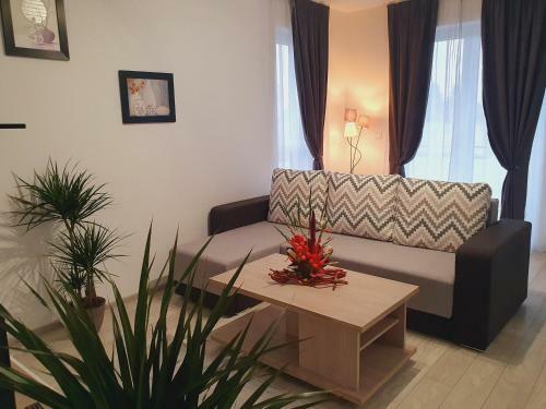 Apartament Relaxa Targu Mures 1 - 4 Guest - 220 Lei Per Night
