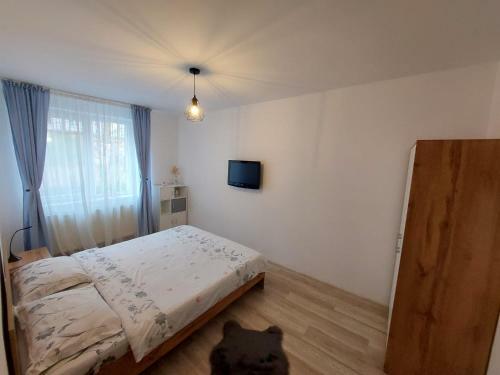 Youth Central Apartment
