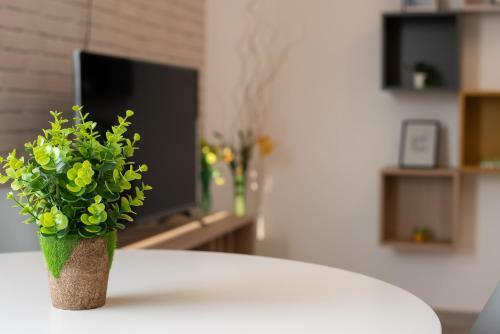 Art Apartment