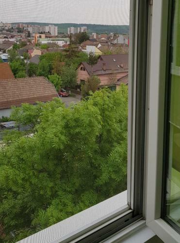 Green Apartman