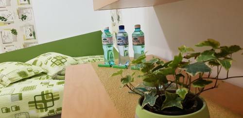 Green Apartman