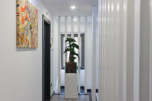 Albergue Taska Vila Velha