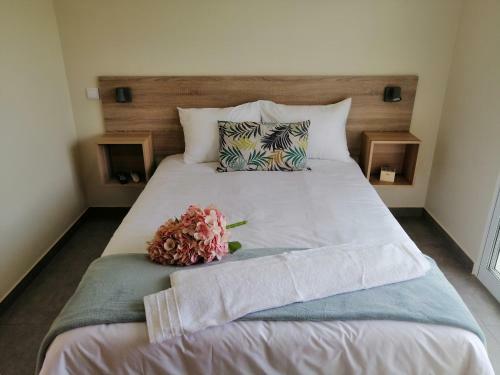 Hostal Villa Cerro E Mar