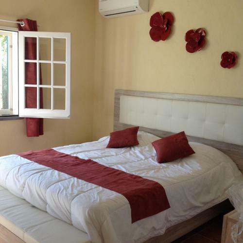 Bed & Breakfast Casa Oliviera