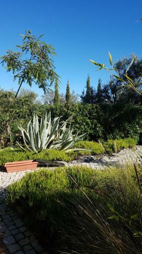Bed & Breakfast Casa Oliviera