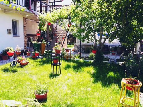 Hostal Casa Razvan Vama Veche