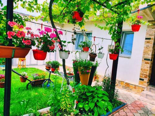 Hostal Casa Razvan Vama Veche