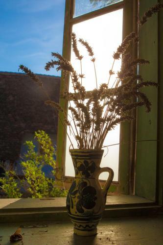 Bed & Breakfast Lovely Old Transylvanian Cottage, Room 1