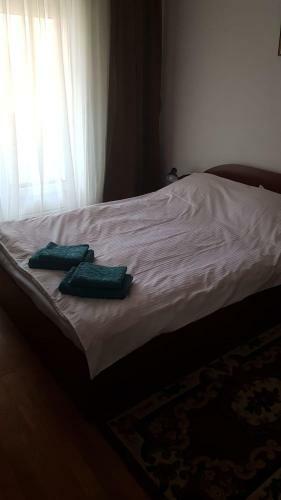 Apartament Central Vatra Dornei
