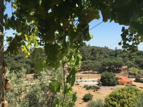 Agroturismo Casa Da Nave