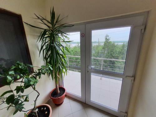 Agroturismo Pensiunea Bioliv