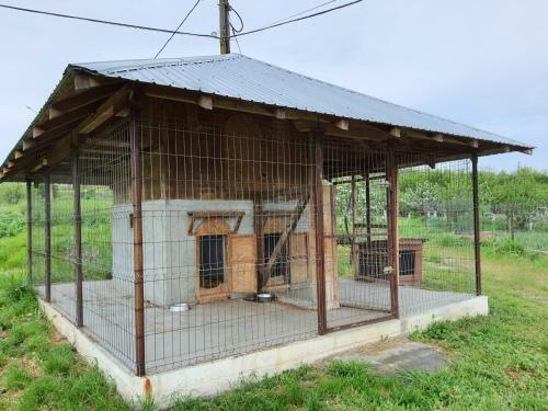 Agroturismo Pensiunea Bioliv