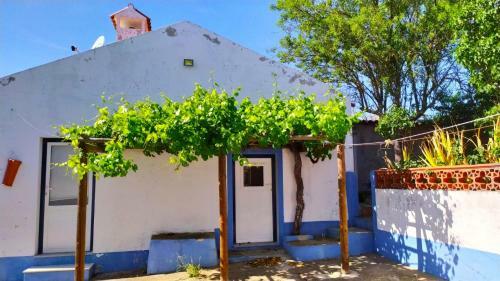 Casa Menir