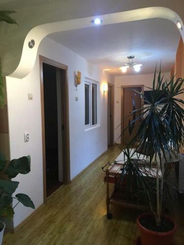 Hostal Casa Elena