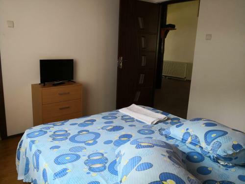 Hostal Casa De Vacanta Aurelia