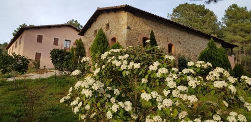 Hostal Posada Del Infante Posada Real