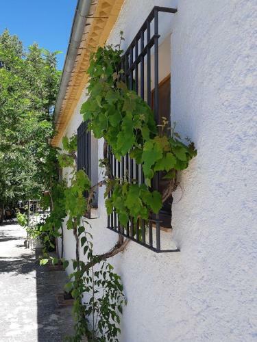 Apartamentos Cortijo Balzain