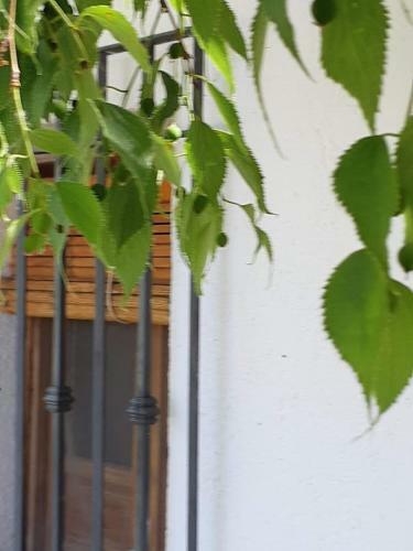 Apartamentos Cortijo Balzain
