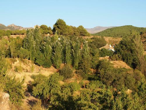 Apartamentos Cortijo Balzain