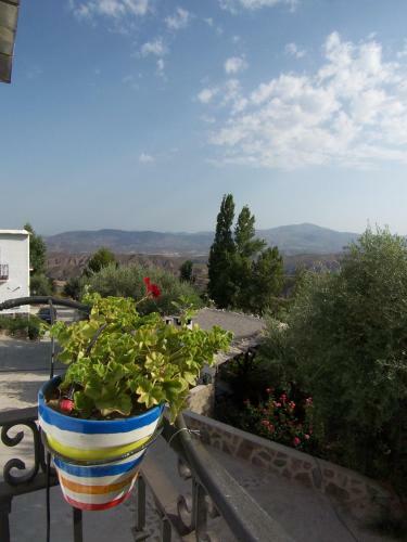 Apartamento Balc�n De V�lor - Centro De Turismo Rural