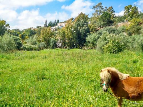 Villa Almog�a